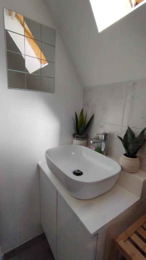 The 16Th Century Duplex In The City Center Apartment Antwerp Luaran gambar