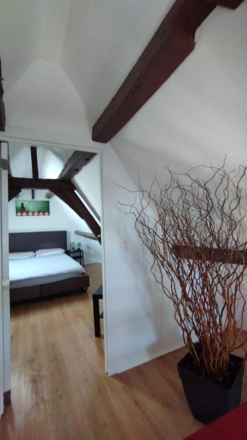The 16Th Century Duplex In The City Center Apartment Antwerp Luaran gambar