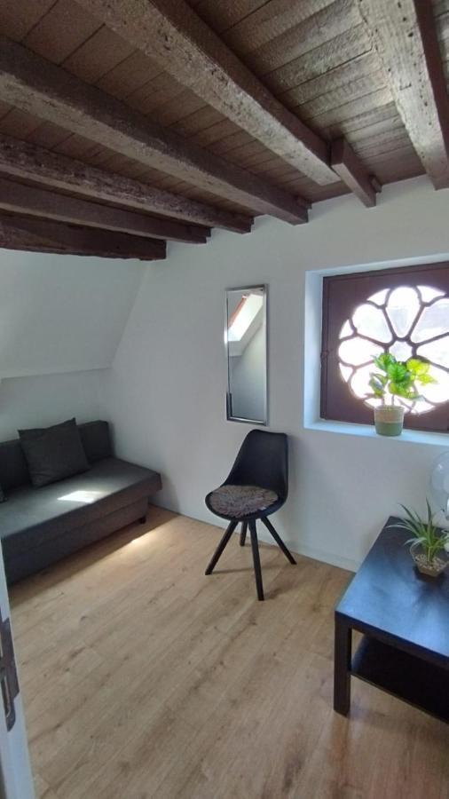 The 16Th Century Duplex In The City Center Apartment Antwerp Luaran gambar