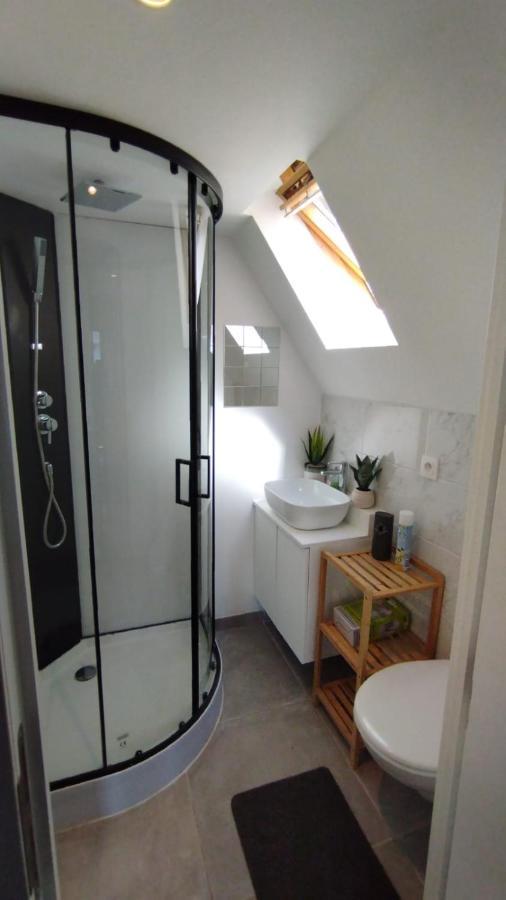 The 16Th Century Duplex In The City Center Apartment Antwerp Luaran gambar