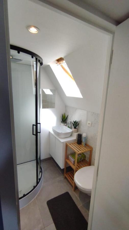 The 16Th Century Duplex In The City Center Apartment Antwerp Luaran gambar