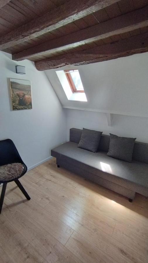 The 16Th Century Duplex In The City Center Apartment Antwerp Luaran gambar